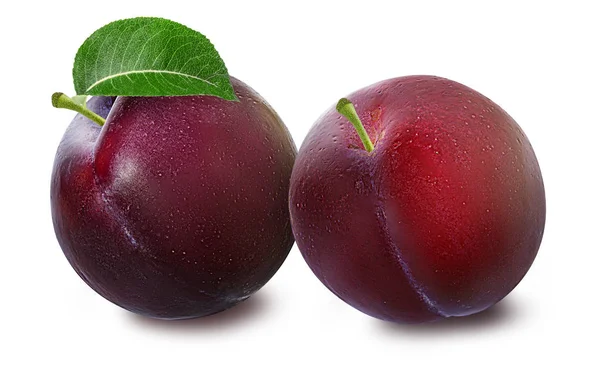 Plum pada warna putih — Stok Foto