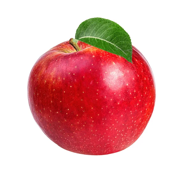 Apple isoliert auf Weiß — Stockfoto