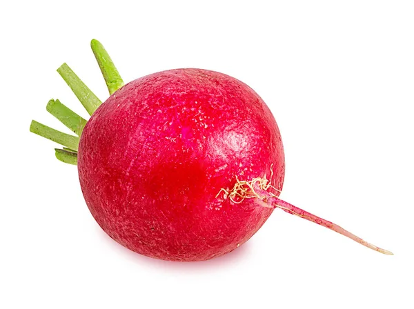 Fresh radishes isolated — Stock Photo, Image