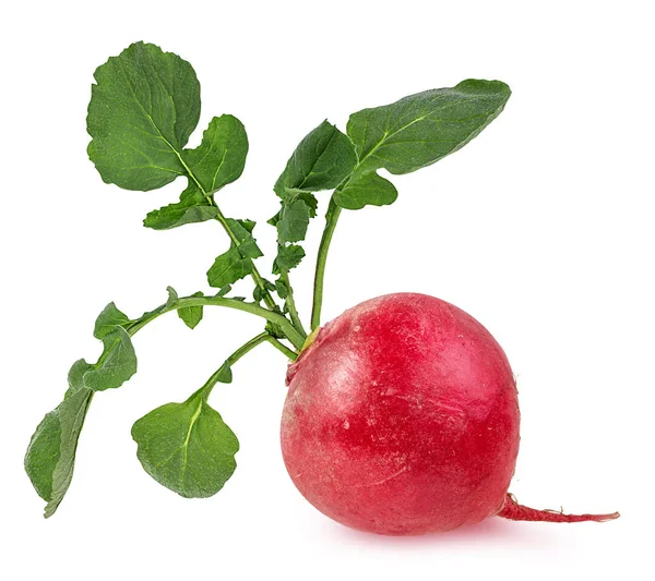 Fresh radishes isolated — Stock Photo, Image