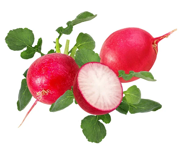 Fresh radishes isolated — Stock Photo, Image