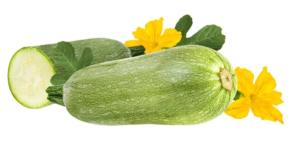 Moelle de légumes frais isolée sur blanc — Photo