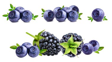BlackBerry, bilberry, üzerinde beyaz izole yaban mersini 