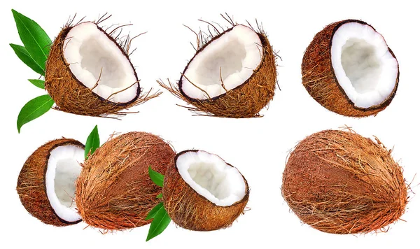 Kokosnoten geïsoleerd op wit — Stockfoto
