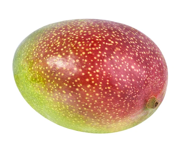 Плоды манго, выделенные на белом — стоковое фото
