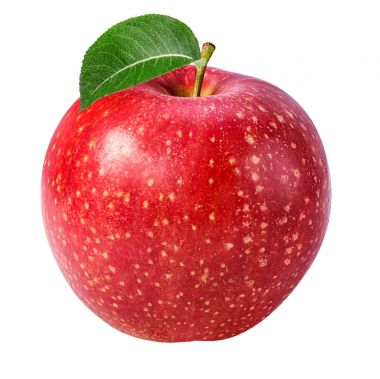 Elma beyaz üzerine izole 