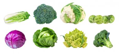collection cabbages isolated on a white  clipart