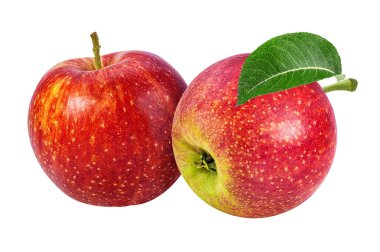 Elma beyaz üzerine izole 