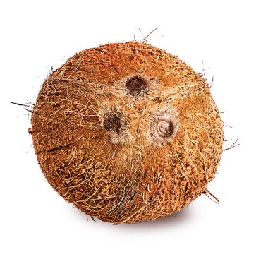 Hindistan cevizleri beyaza izole edilmiş. 