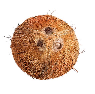 Hindistan cevizleri beyaza izole edilmiş. 