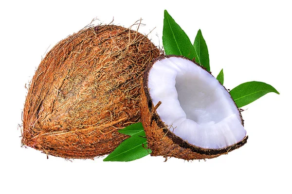 Noci di cocco isolate su bianco — Foto Stock