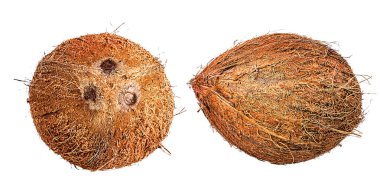 Hindistan cevizleri beyaza izole edilmiş. 