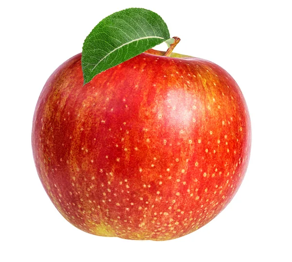 Apple isolated on white — Stock Photo, Image