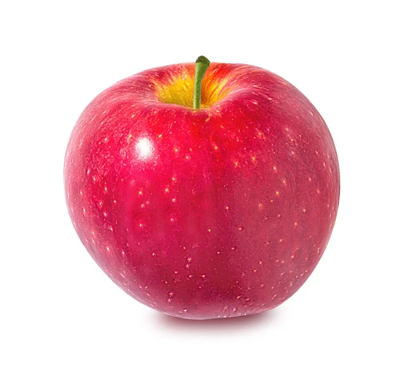 Яблуко ізольоване на білому — стокове фото