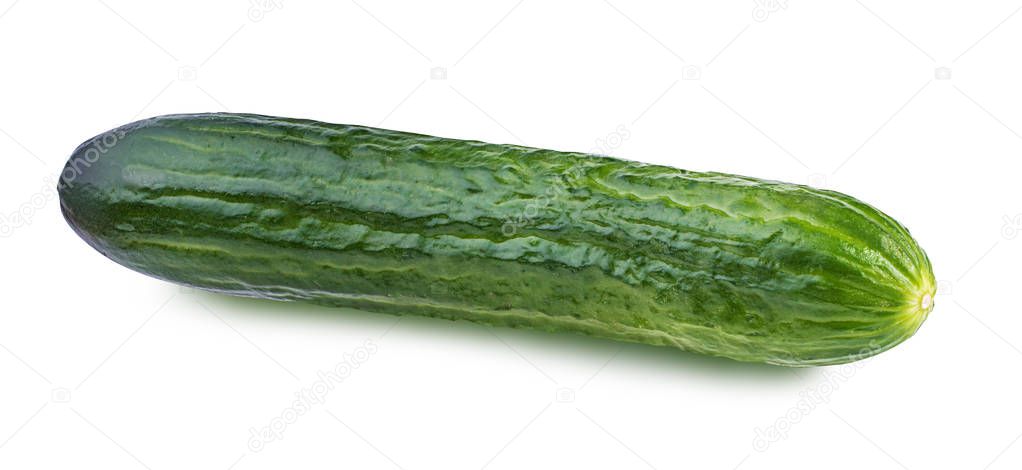 cucumber isolated on white 