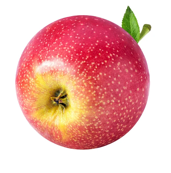 Jablko izolované na bílé — Stock fotografie