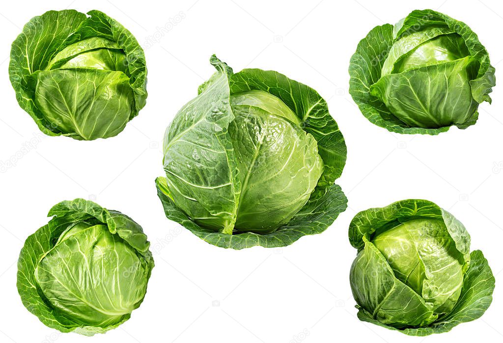 Green cabbage isolated on white 