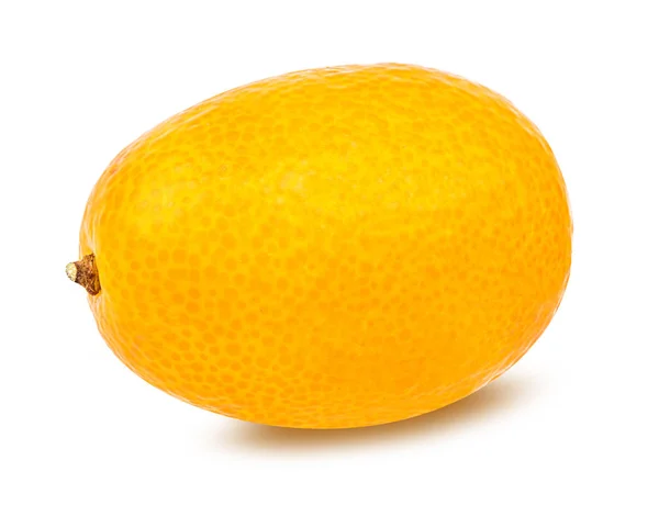 Kumquat isolado sobre branco — Fotografia de Stock