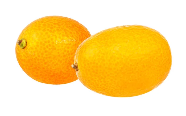 Kumquat isolado sobre branco — Fotografia de Stock