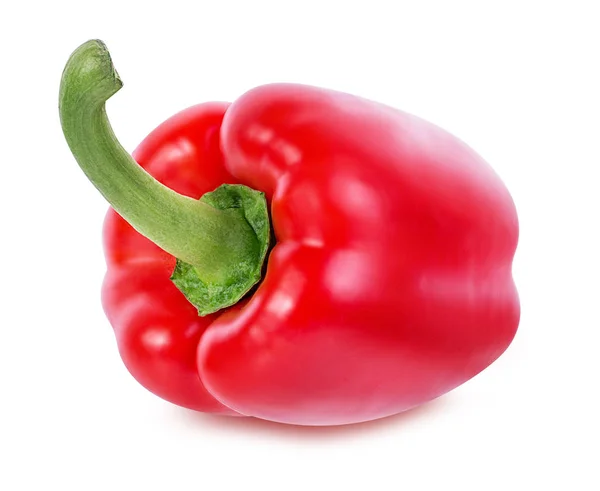 Pepper isolated on a white — Stock Photo, Image
