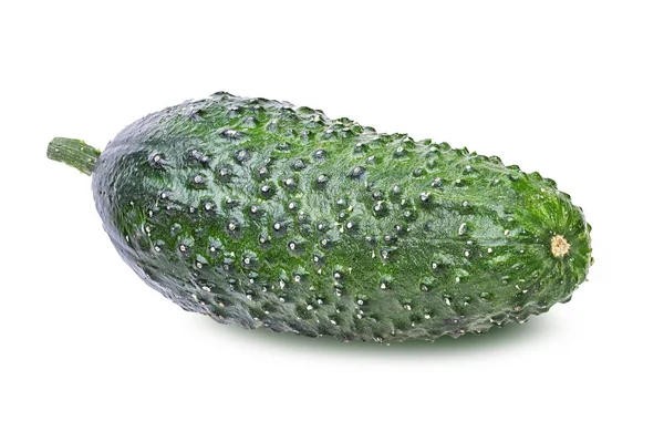 Cucumber isolated on white — Stock Photo, Image