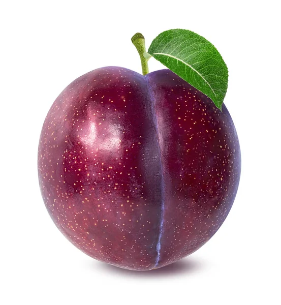 Plum on a white — Stock Photo, Image