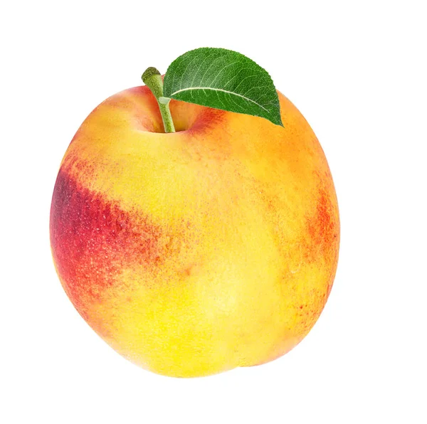 Apricot isolated on white — Stock Photo, Image