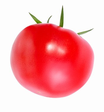 Domates beyazda izole. 