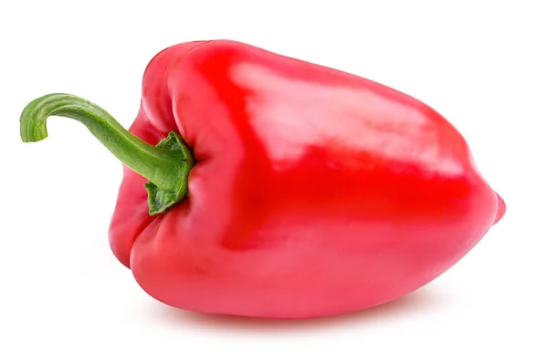 Geïsoleerd op een witte peper — Stockfoto