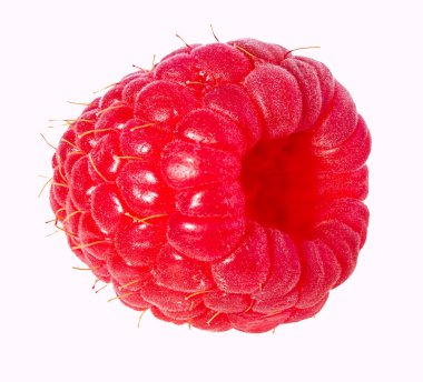 Ahududu beyaz üzerine izole