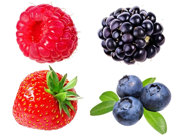 Strawberry, raspberry, blueberry, blueberry, dan blackberry adalah — Stok Foto