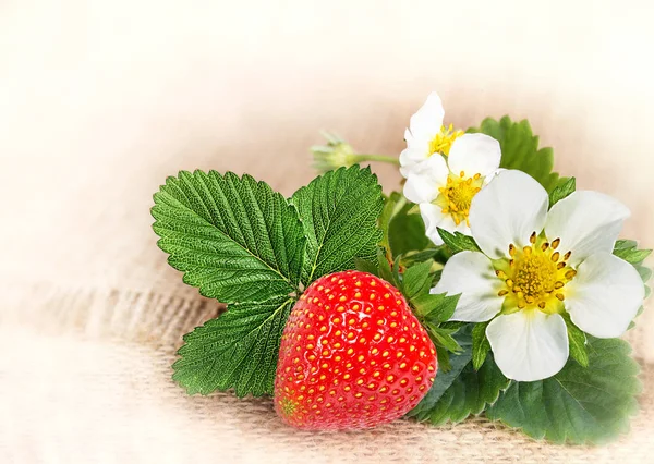 Strawberries on a wooden table outdoors — Stock Photo, Image