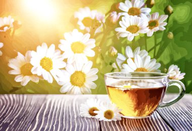 Papatya çiçekli bir fincan papatya çayı, suluboya çizimi. 