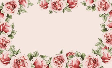 Beyaz arkaplanda izole edilmiş gül, suluboya resimleme