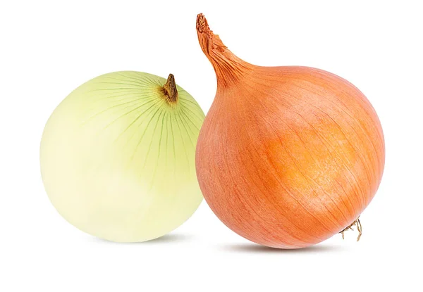 Cebollas Aisladas Sobre Fondo Blanco —  Fotos de Stock