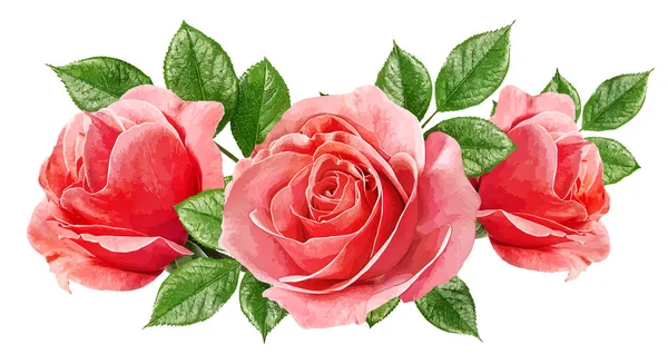 Розовый Изолированы Белом Фоне Акварель Иллюстрации — стоковое фото