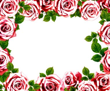 İzole edilmiş beyaz arkaplanda güzel bir çiçek, suluboya çizimi