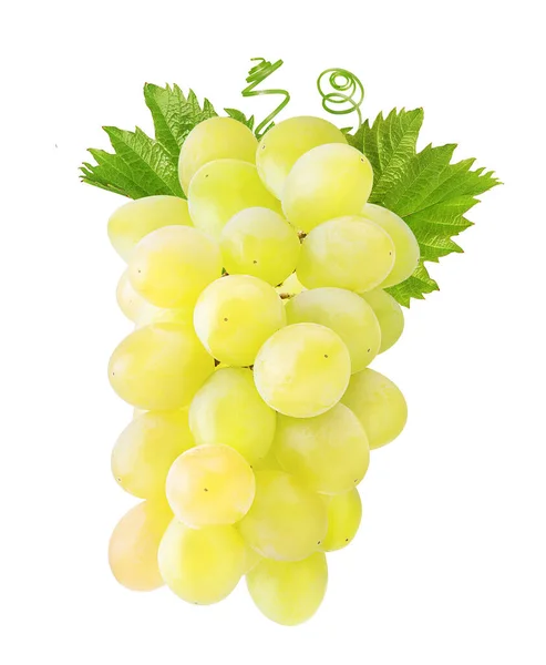 Uvas Frescas Aisladas Sobre Fondo Blanco — Foto de Stock