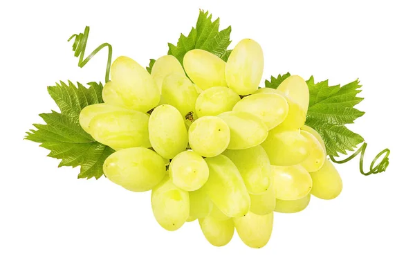 Uvas Frescas Aisladas Sobre Fondo Blanco — Foto de Stock