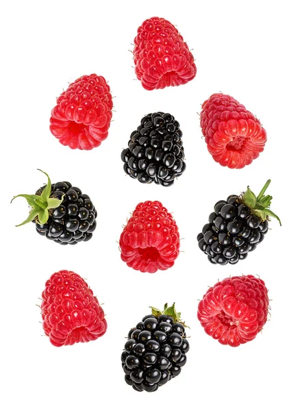 Blackberry Raspberry Isolated White Background — Stock Photo, Image