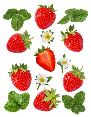 Beyaz arka planda izole edilmiş çiçekli çilek