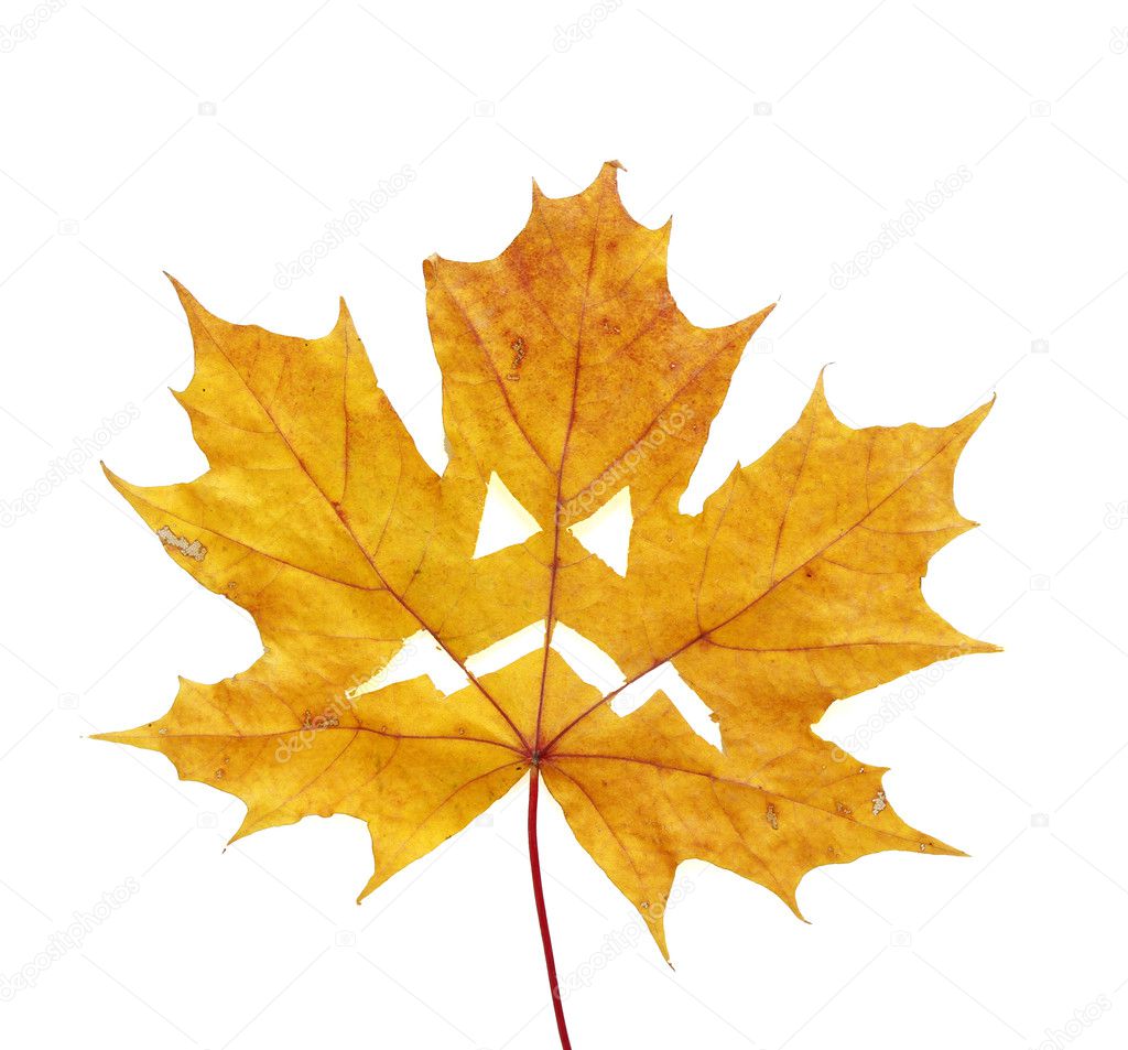 Halloween maple leaf