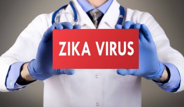 Doktorun mavi eldiven gösterilerinde kelime zika virüs eller. Tıp kavramı.