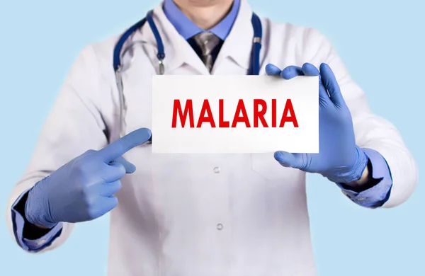 Il dottore ha un biglietto con il nome della malaria. Concentrazione selettiva. Concetto medico . — Foto Stock