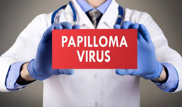 Doctor's hands in blue gloves shows the word papilloma virus. Medical concep Royalty Free Stock Images