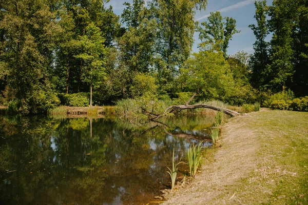 Em um belo parque lagoa — Fotografia de Stock