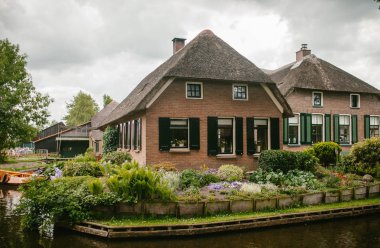 Evi Githorne, Hollanda