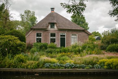 Evi Githorne, Hollanda