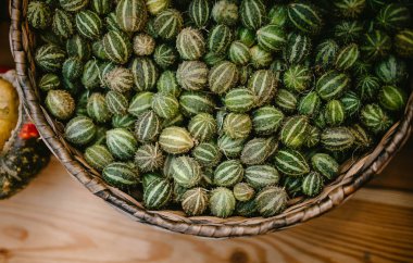 Bir sürü salatalık karpuz sepeti