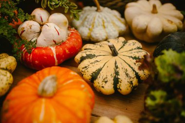 Farklı kabak Üstten Görünüm